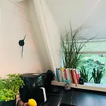Barbuy - Natuurhuisje In - Bar - Zwem - Ontspan 더뷔