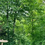 Barbuy - Natuurhuisje In - Bar - Zwem - Ontspan 더뷔
