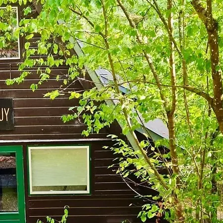 Barbuy - Natuurhuisje In - Bar - Zwem - Ontspan 더뷔