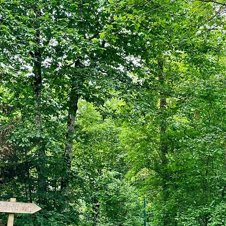 Barbuy - Natuurhuisje In - Bar - Zwem - Ontspan Durbuy