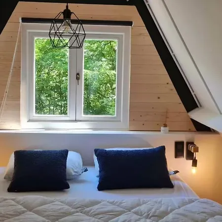 Chalet Barbuy - Natuurhuisje In - Bar - Zwem - Ontspan