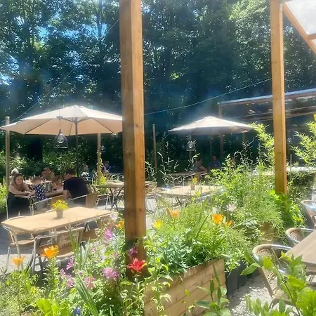 Chalet Barbuy - Natuurhuisje In - Bar - Zwem - Ontspan