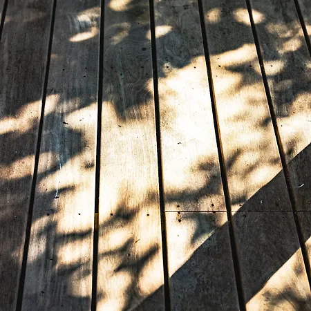 Chalet Barbuy - Natuurhuisje In - Bar - Zwem - Ontspan