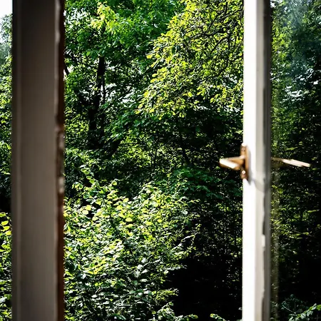 Barbuy - Natuurhuisje In - Bar - Zwem - Ontspan Chalet *